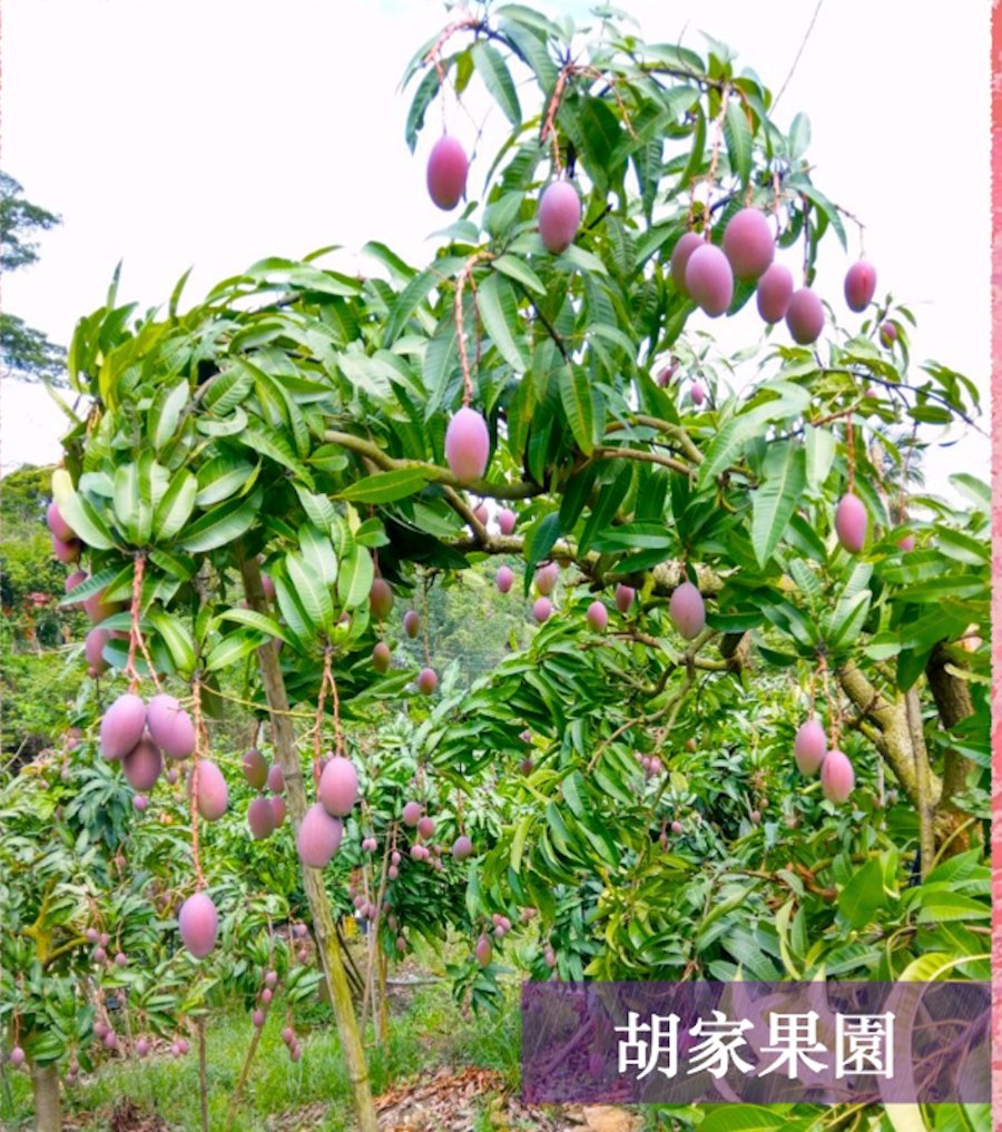 胡家果園